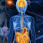 Psiconeuroimmunologia